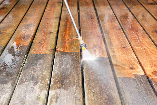 Animal Enclosure Cleaning in Coal Fork, WV
